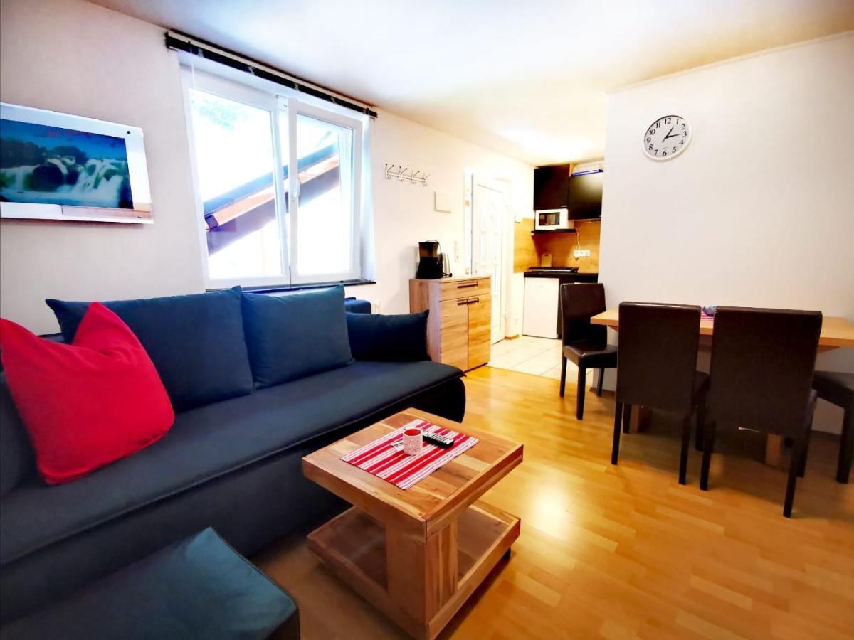 Dd Apartments Zell Am See Extérieur photo
